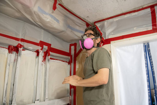 Best Mold Removal for HVAC Installations  in Greenfield, MN